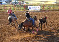 3.5  and Ranch Roping